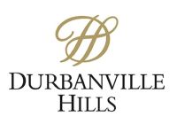  Durbanville Hills Sparkling